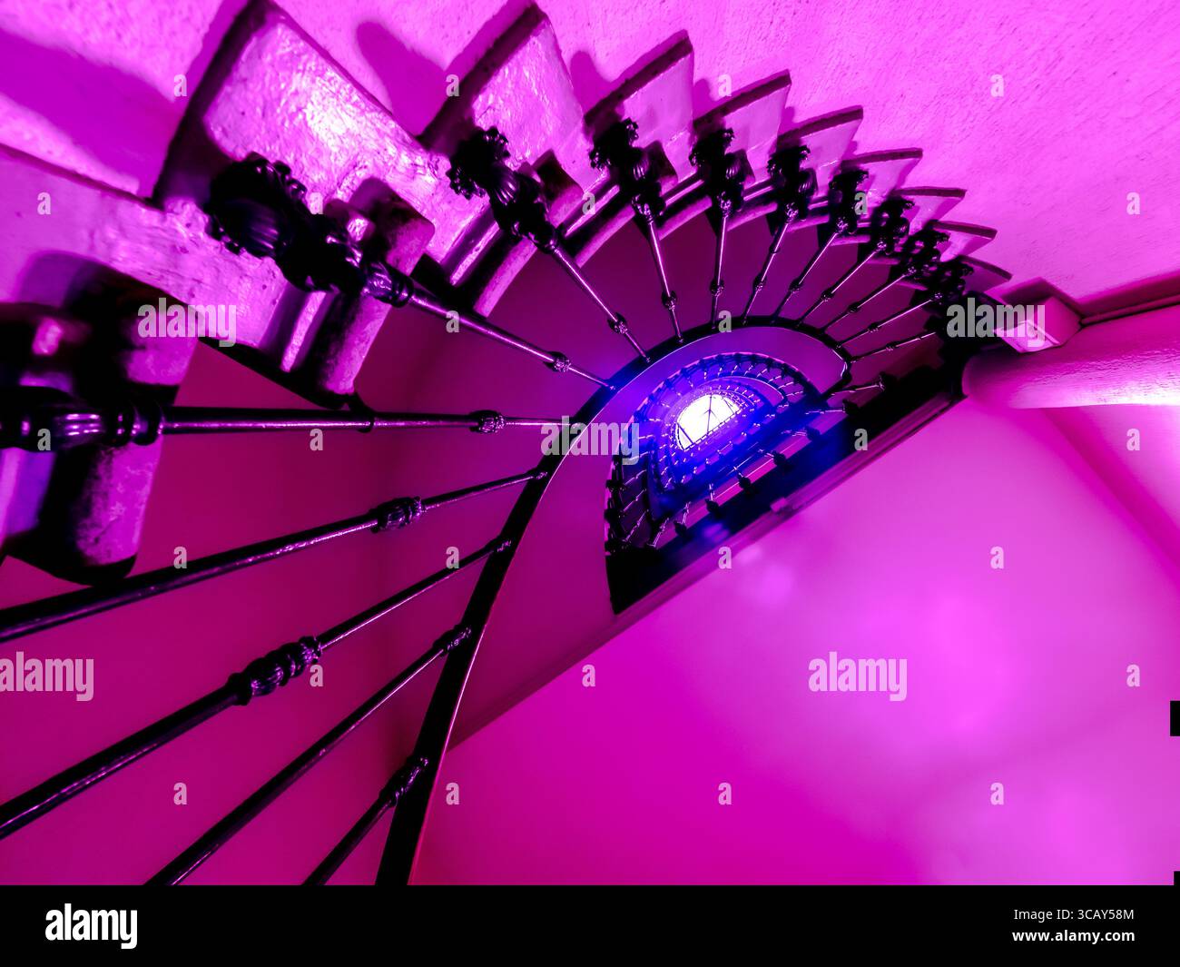 Vibrant Purple Spiral Staircase with Artistic Curves and Modern ...