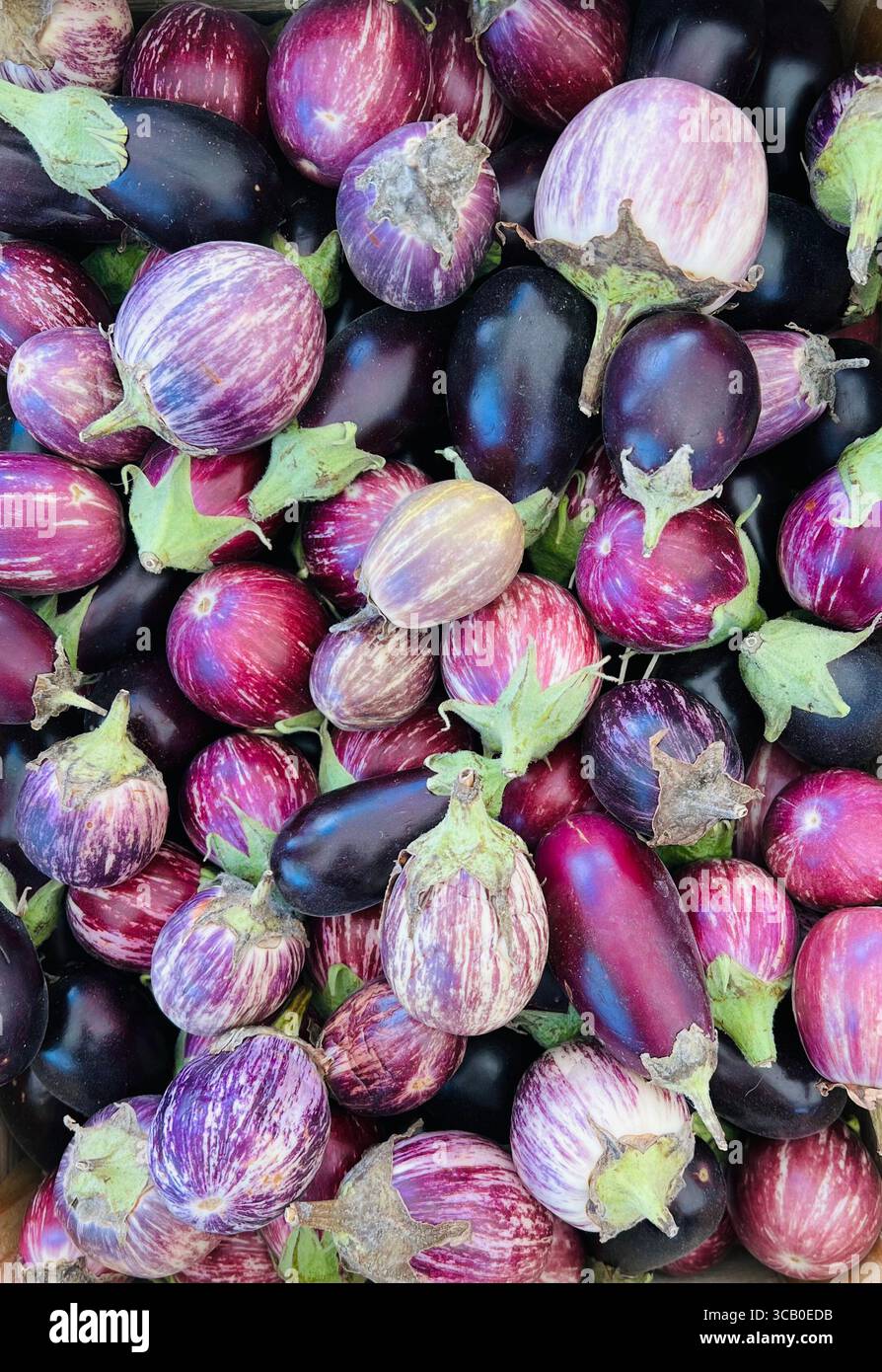 Eggplants in a market stall - Smartphone Captured Stock Image
