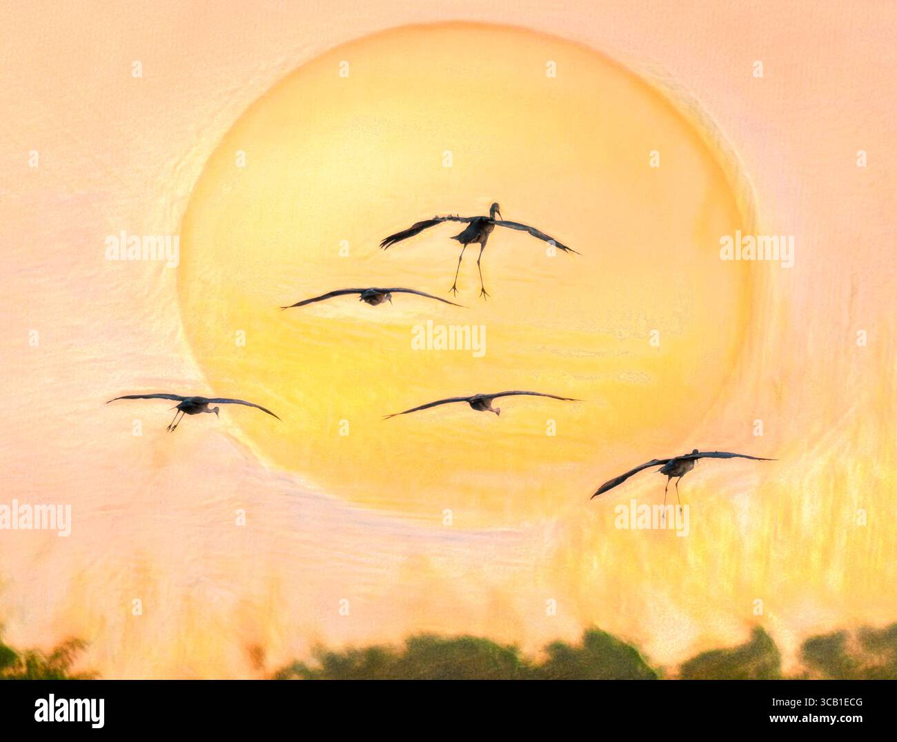 styliized digital photo art, group of wintering Sandhill Crane birds alight silhouetted by orange sun Stock Photo