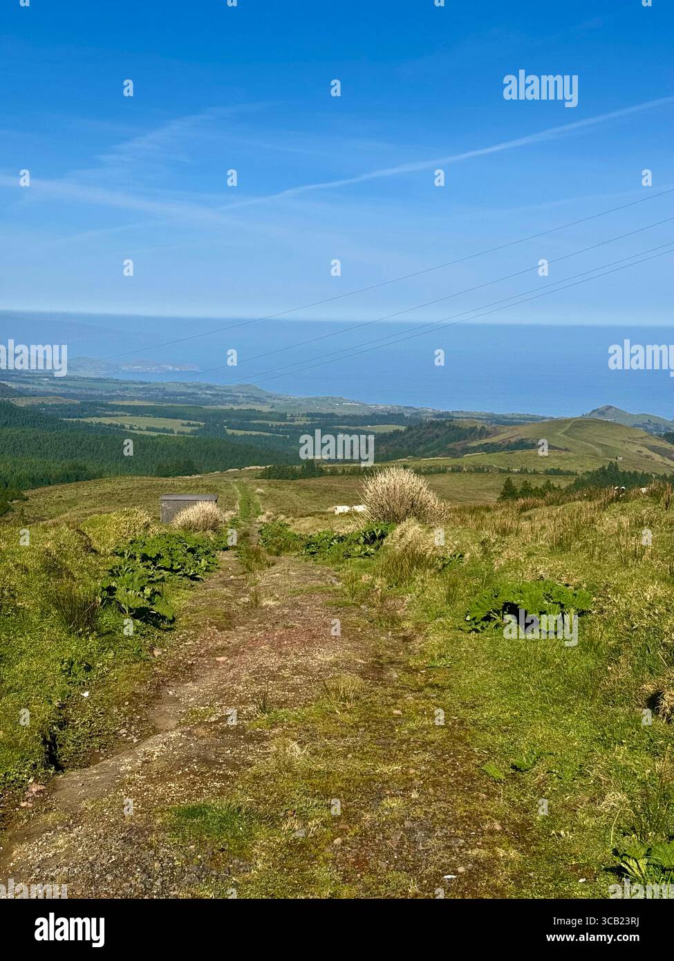 Scenic hiking trails in the Azores featuring coastal views, forest paths, and lush green landscapes under clear skies. - Smartphone Captured Stock Image