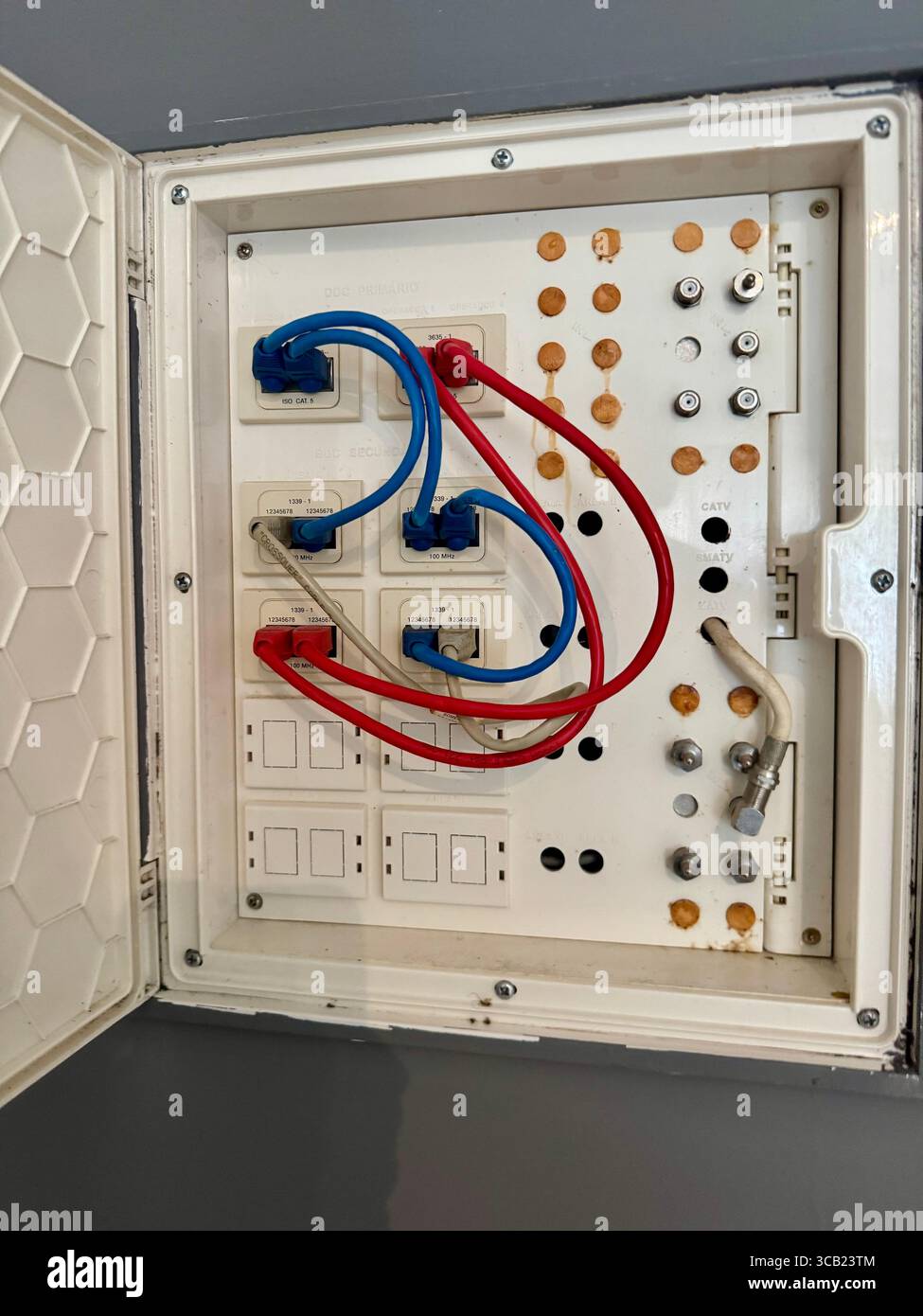 Electrical circuit panel with red and blue wiring inside a distribution box. - Smartphone Captured Stock Image