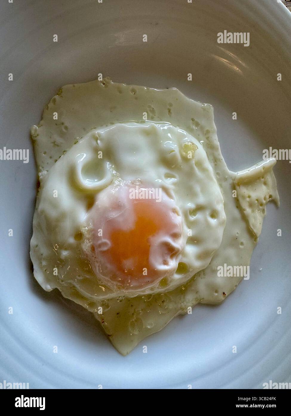 Close-up of a single fried egg with a runny yolk served on a white plate. - Smartphone Captured Stock Image