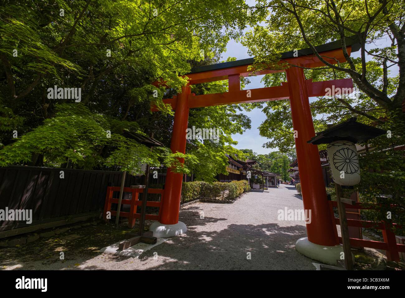 A vibrant red Torii gate stands amidst lush green foliage, marking the ...