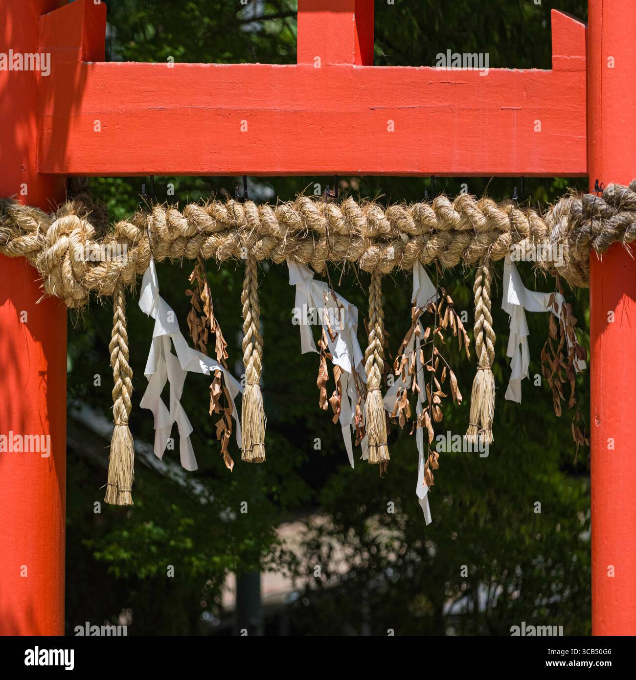 This image depicts a traditional Japanese shimenawa rope hung at ...