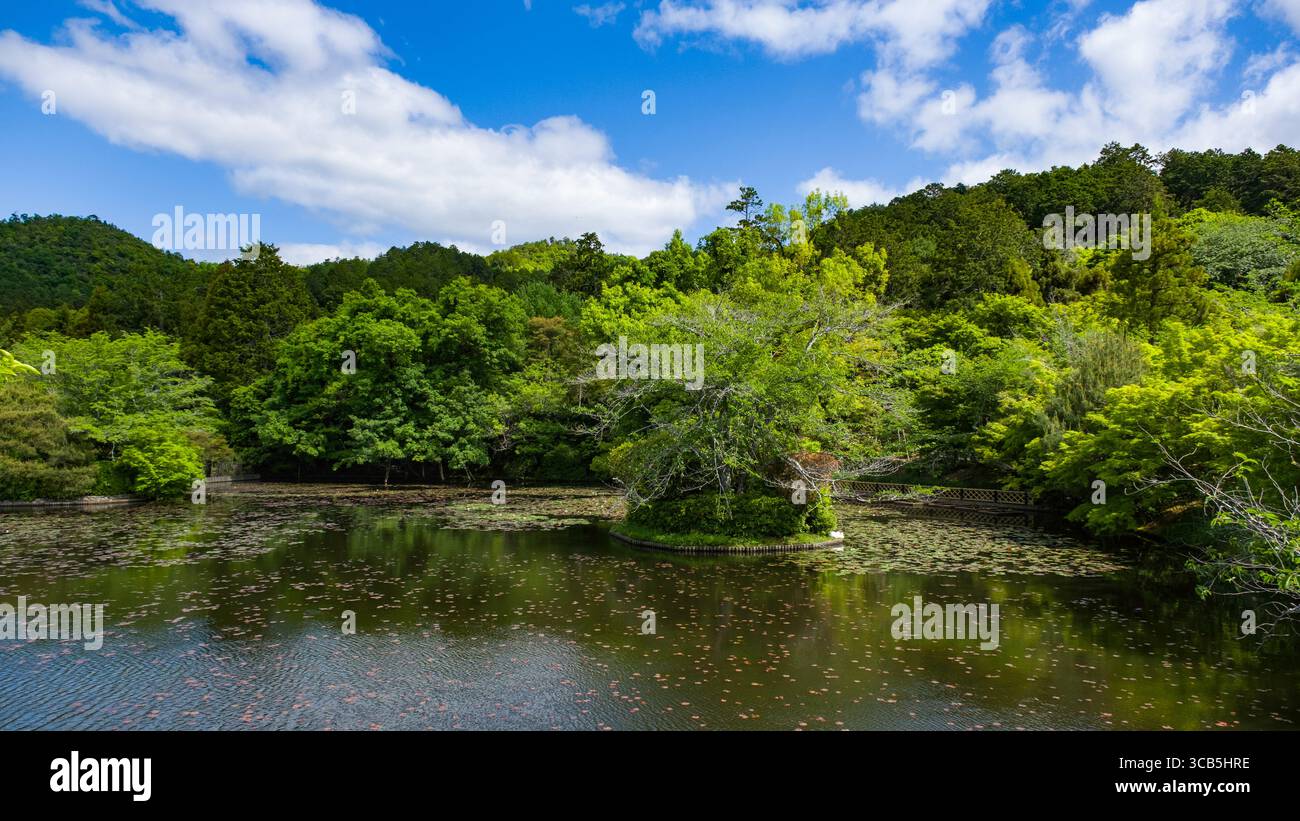 Ryoanji Kyoyochi Pond on the grounds of Ryōan-ji Buddhist temple under ...
