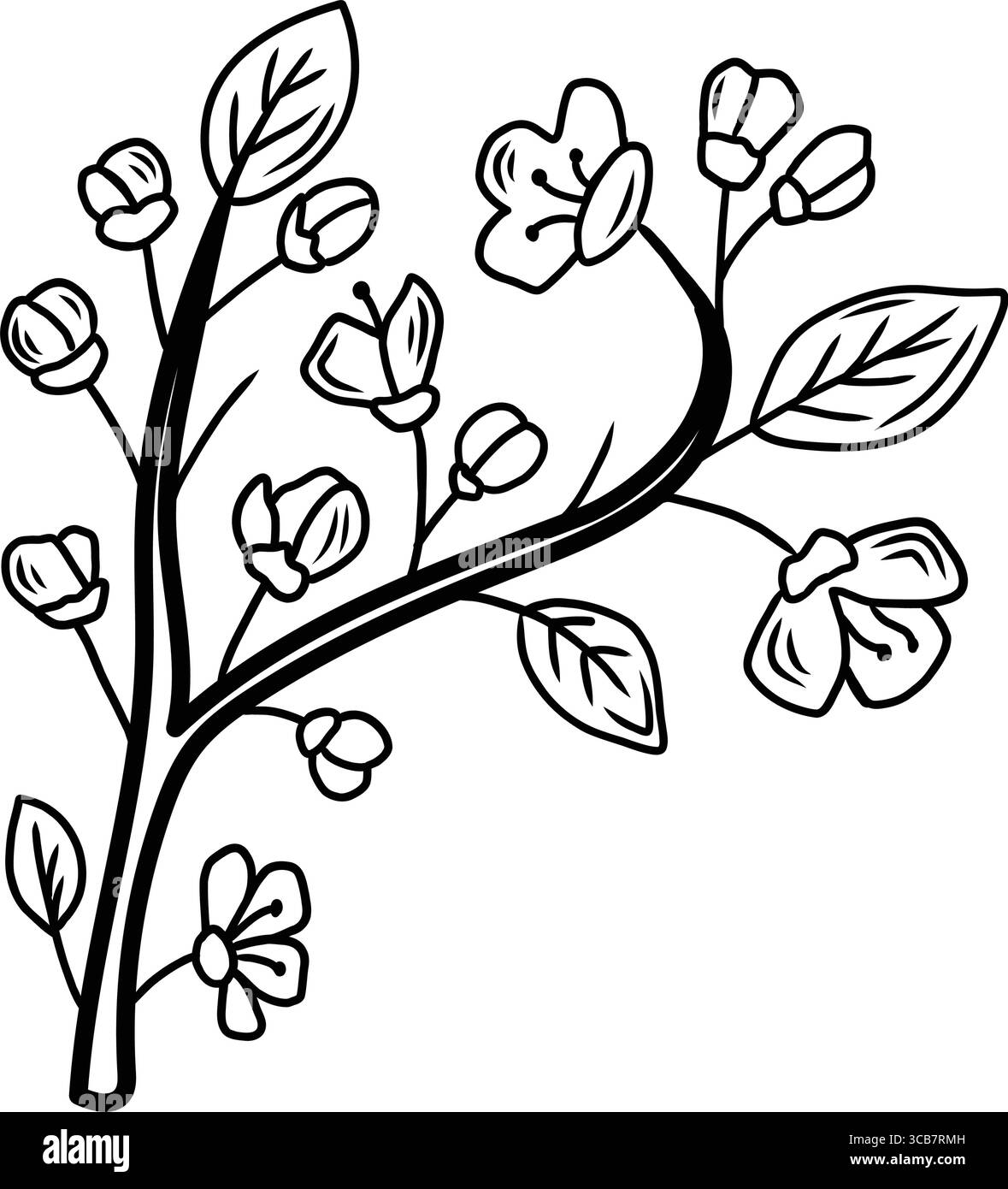 Blooming cherry blossom branch, a hand drawn floral illustration Stock ...