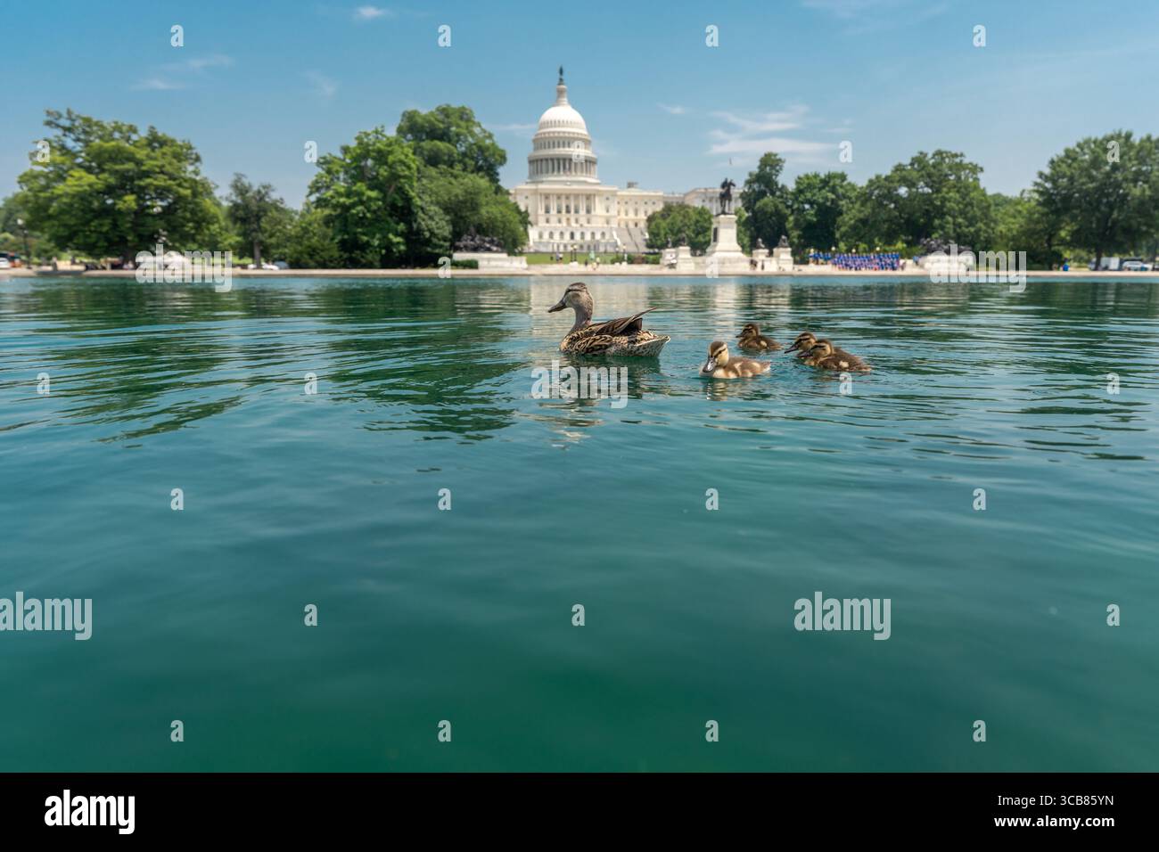 Capitol in Washington, DC. Capitol across the reflecting pool ...