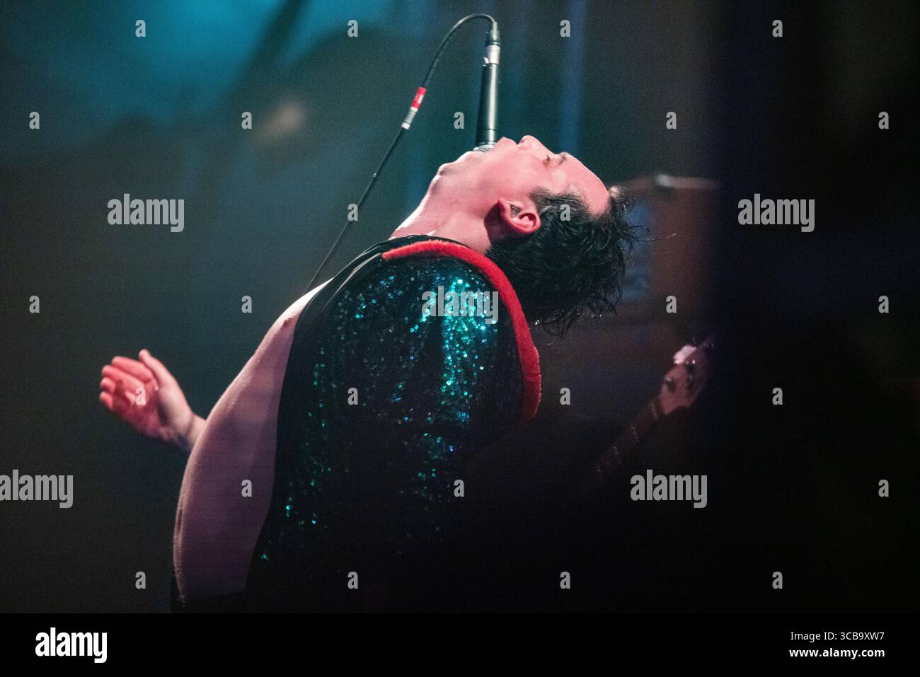 PIGS PIGS PIGS PIGS PIGS PIGS PIGS , LIVE CONCERT, 2019: Matthew Baty ...