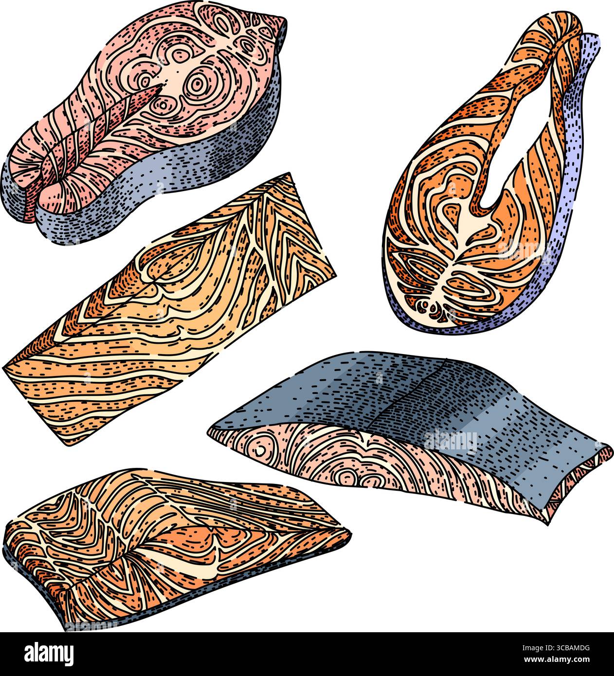 fish fillet set sketch hand drawn vector Stock Vector Image & Art - Alamy