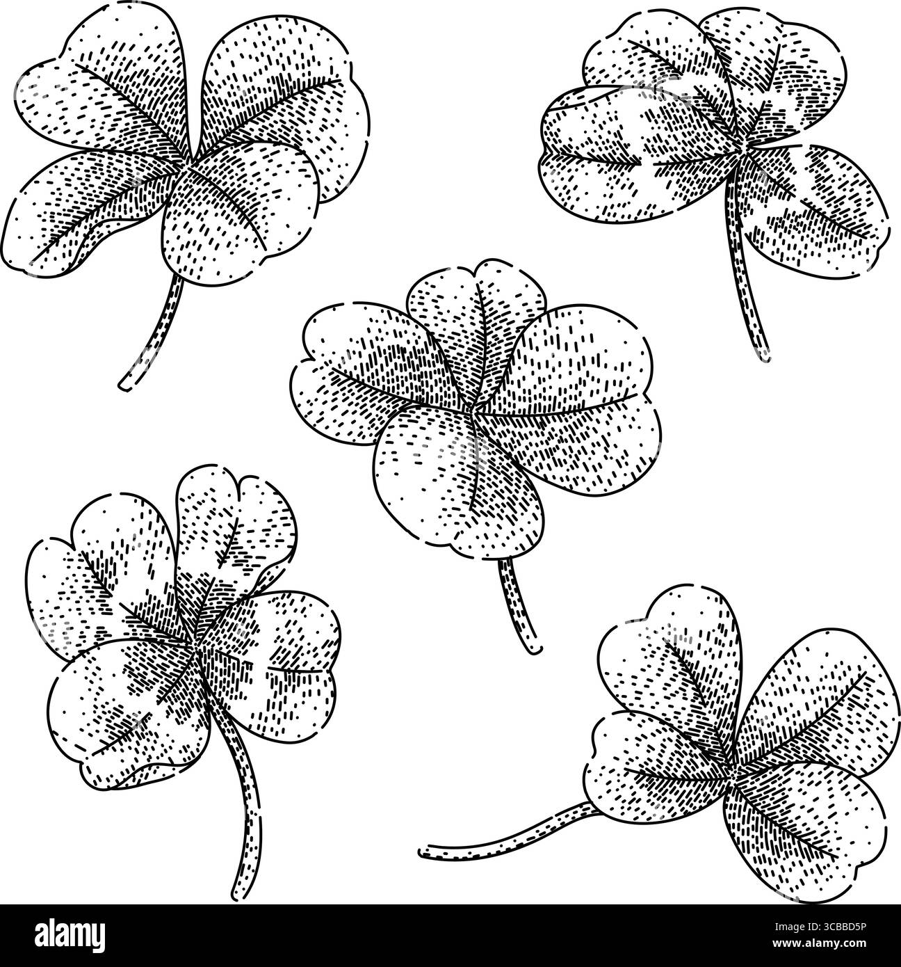 clover set sketch hand drawn vector Stock Vector Image & Art - Alamy