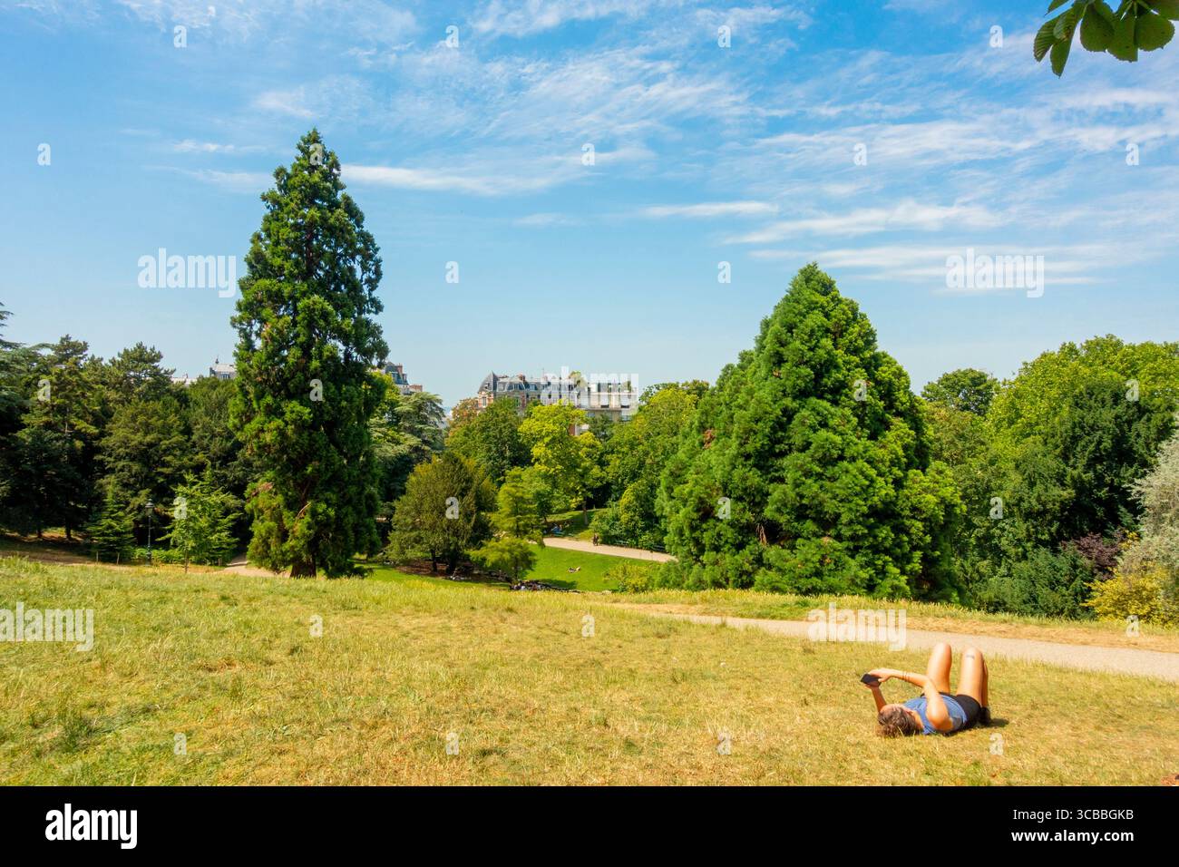 France, Paris, Parc des Buttes Chaumont, the giant sequoia, the tallest ...