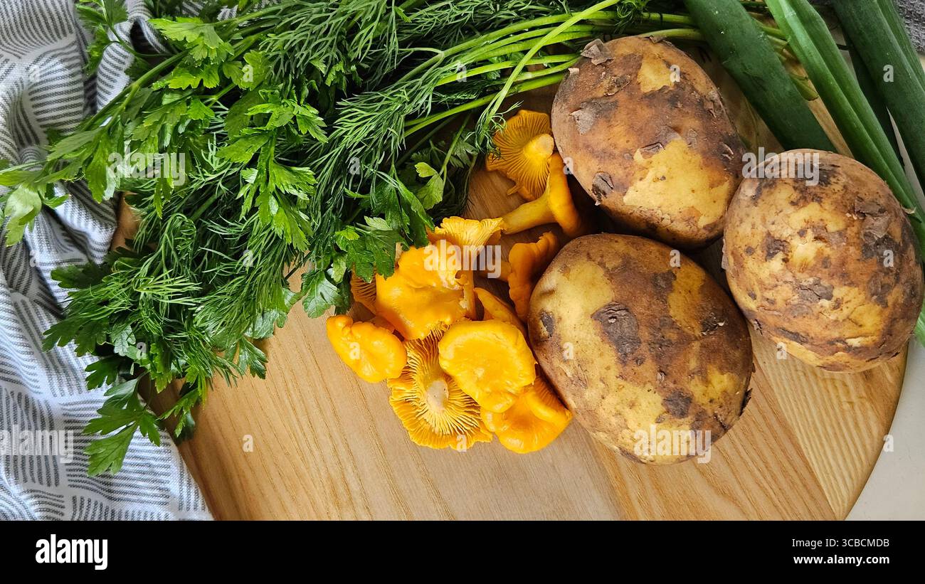 Close-up composition of raw potatoes, fresh chanterelle mushrooms, parsley, dill, and green onions arranged on a wooden board. - Smartphone Captured Stock Image Close-up composition of raw potatoes, fresh chanterelle mushrooms, parsley, dill, and green onions arranged on a wooden board. - Smartphone Captured Stock Image