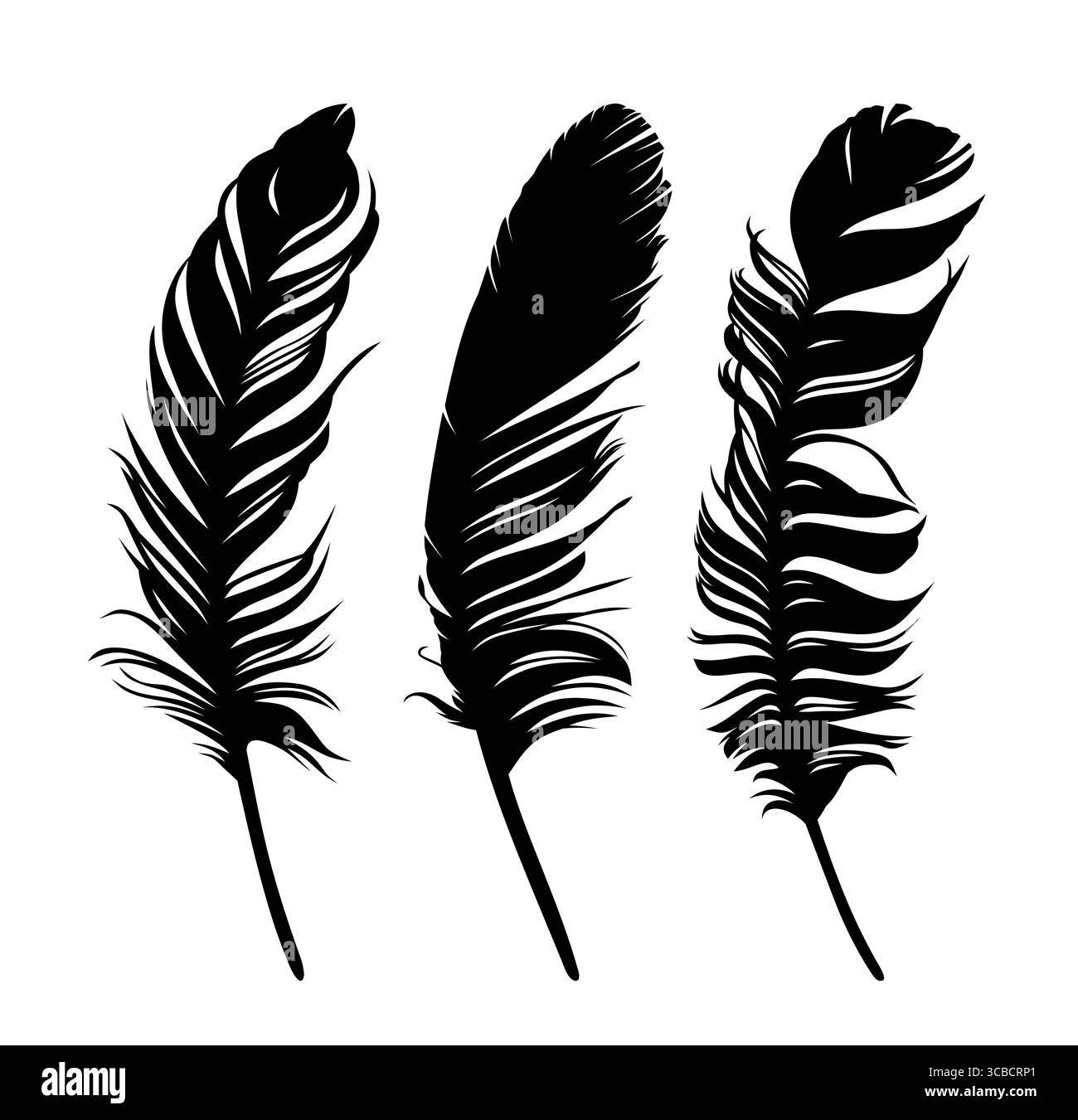 Set Feathers of birds Stock Vector Image & Art - Alamy