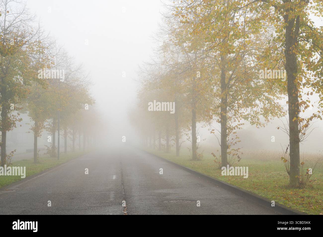 Morning low traffic on long hi-res stock photography and images - Alamy