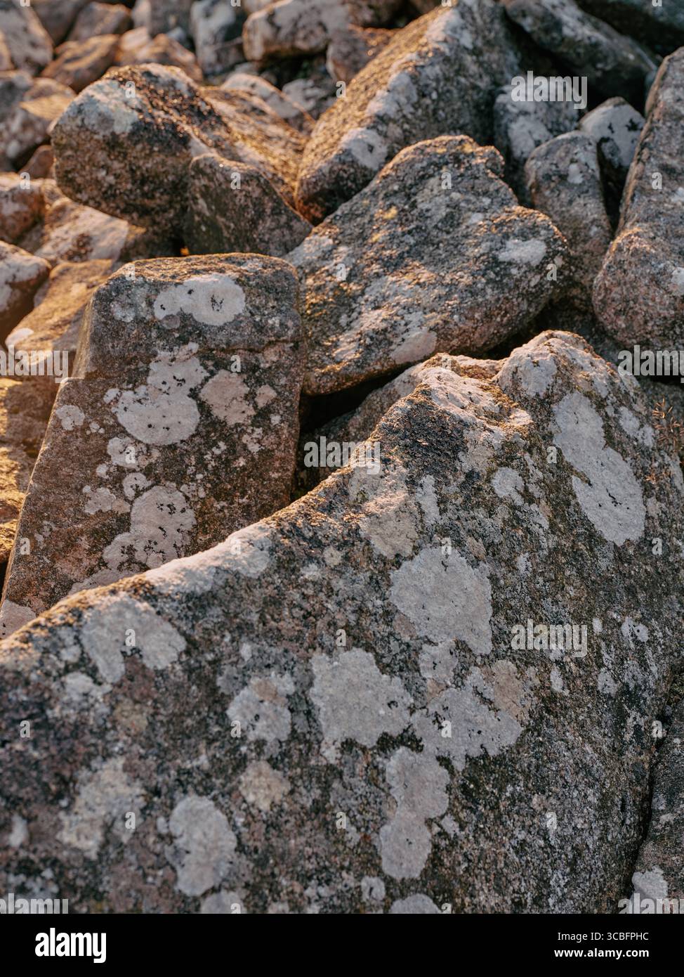 The exposed granite rock of Bodmin Moor, Minions, Cornwall England UK Stock Photo