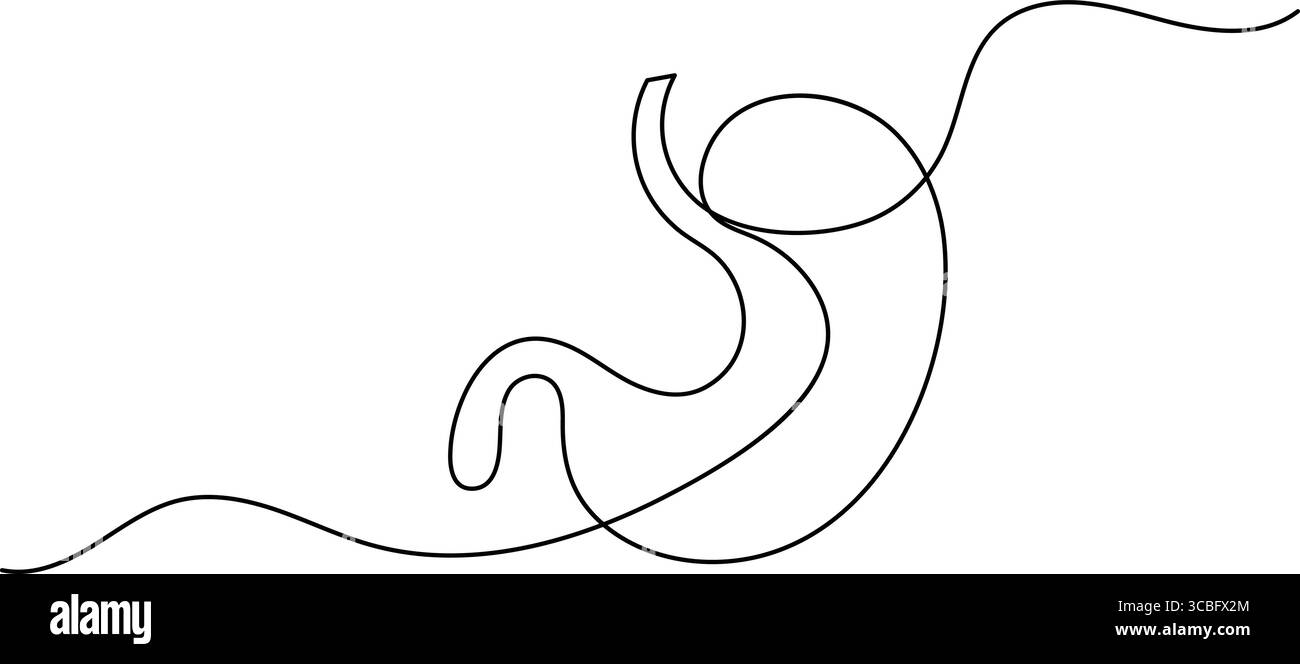 Human stomach icon continuous one line drawing for anatomy and medical design concepts Stock Vector