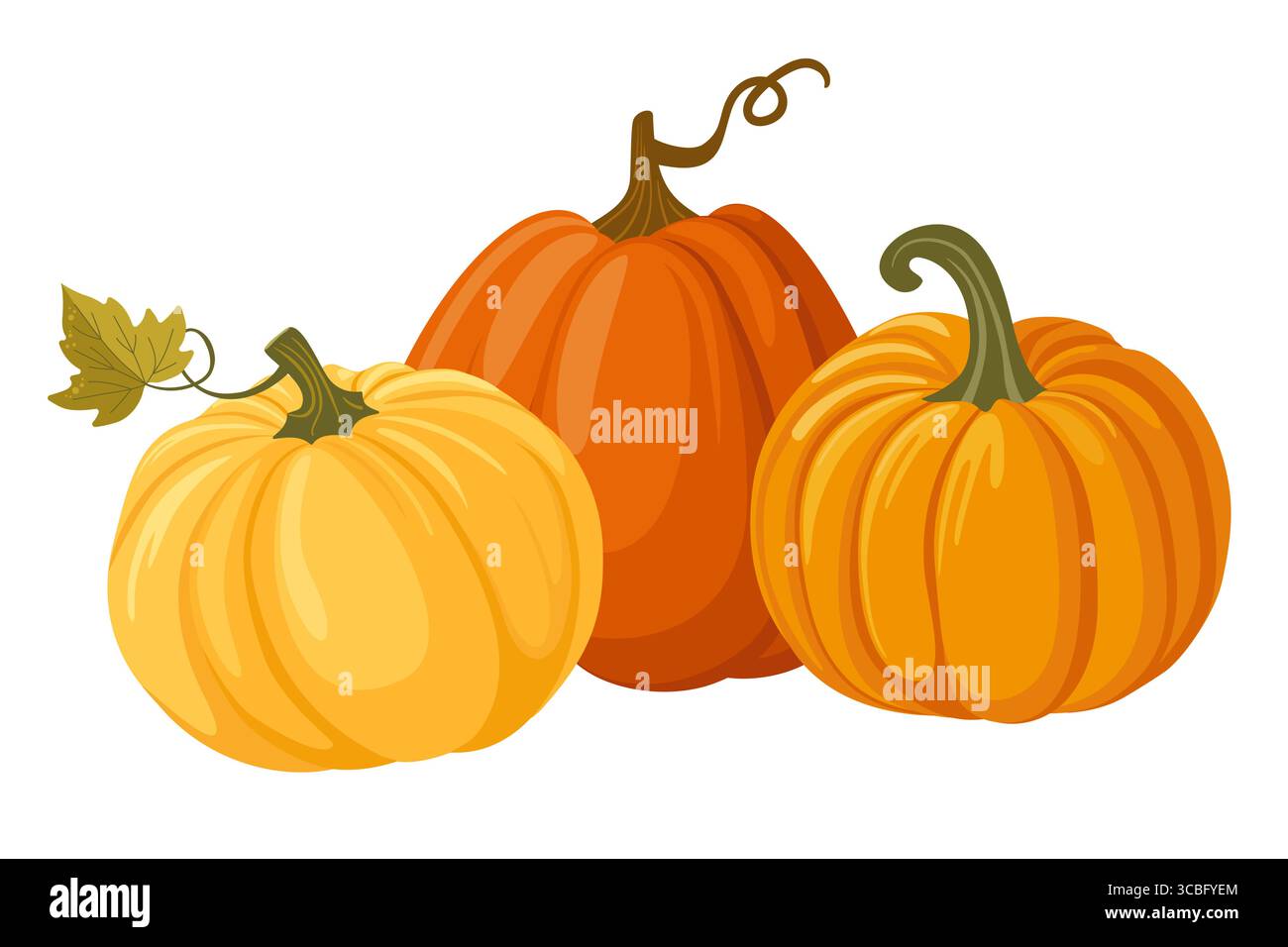 Colorful autumn pumpkins. Seasonal harvest design for greeting or poster.Vector illustration isolated on white background Stock Vector