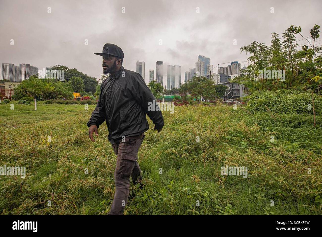 Haven herald hi-res stock photography and images - Alamy