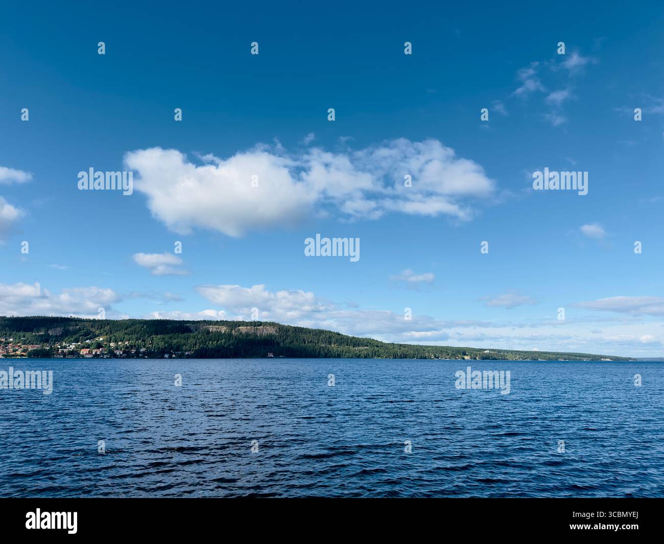 The tranquil lake scene showcases a bright blue sky with fluffy white clouds above a distant treeline. - Smartphone Captured Stock Image