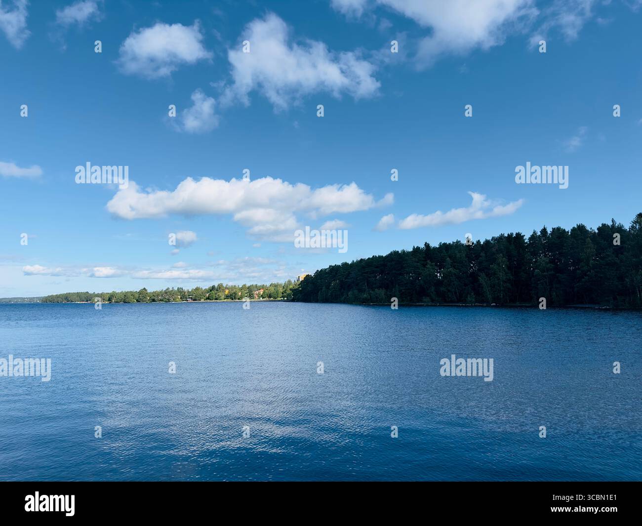A beautiful summer day at the lake with puffy white clouds in the sky and the forest in view. - Smartphone Captured Stock Image