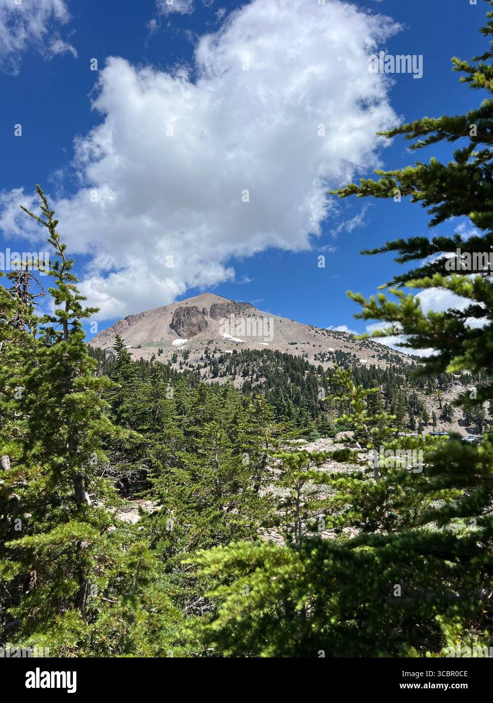 Towering volcanic cone with residual snow through dense pine forest canopy under split sky conditions during late summer in protected parkland. - Smartphone Captured Stock Image