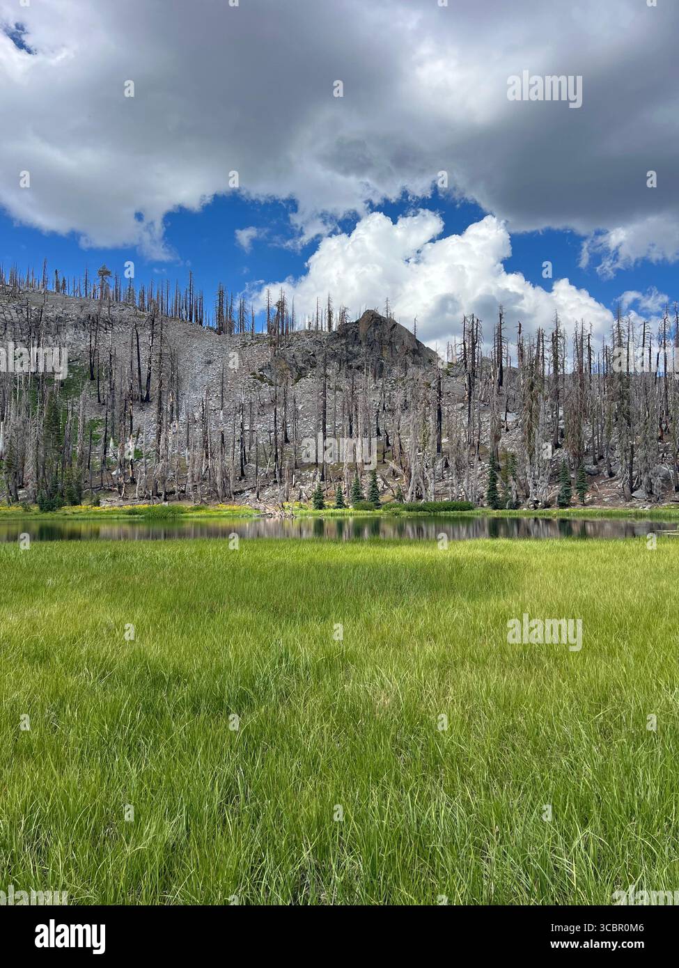 Bright green meadow and dramatic volcanic mountain with cloudy sky at Cold Boiling Lake, Lassen Volcanic National Park, California, summer view. - Smartphone Captured Stock Image