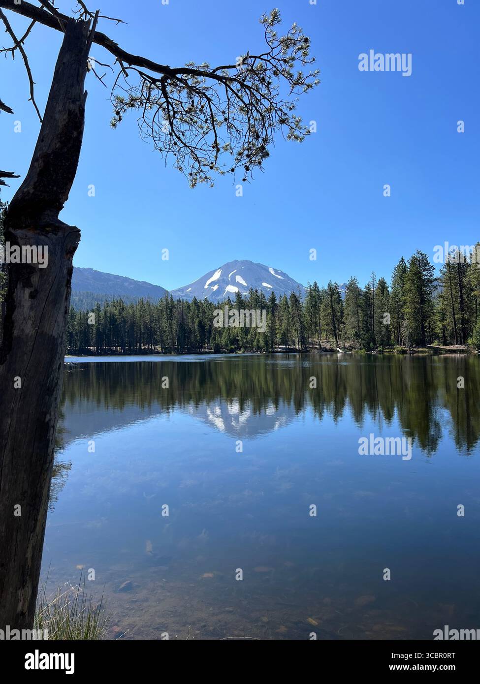 Serene reflection of Lassen Peak in Manzanita Lake, Lassen Volcanic National Park, framed by tree trunk on a tranquil summer day in California. - Smartphone Captured Stock Image