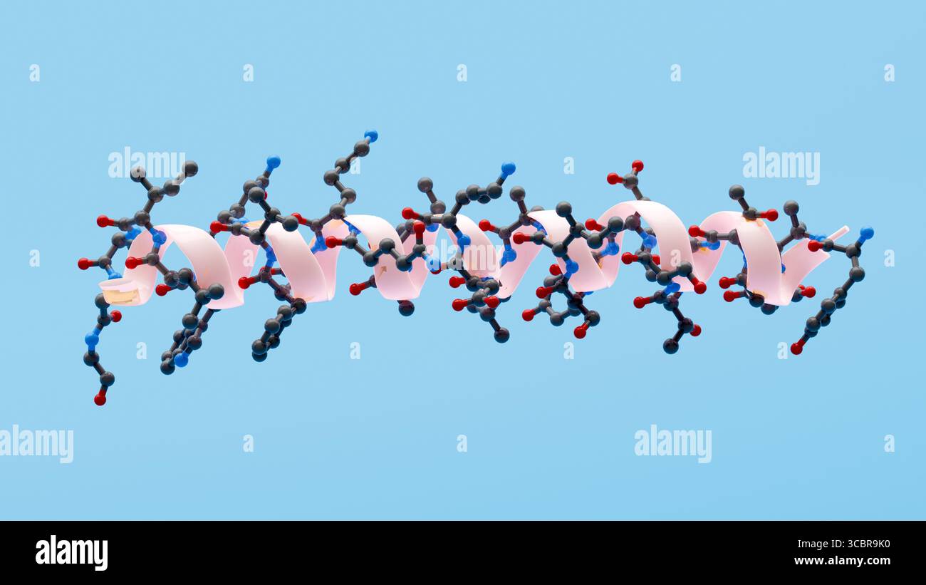 helix chemical supply tirzepatide Illustration showing the 3D structure of a tirzepatide molecule along with  an alpha helix to highlight this feature of its structure Stock Photo