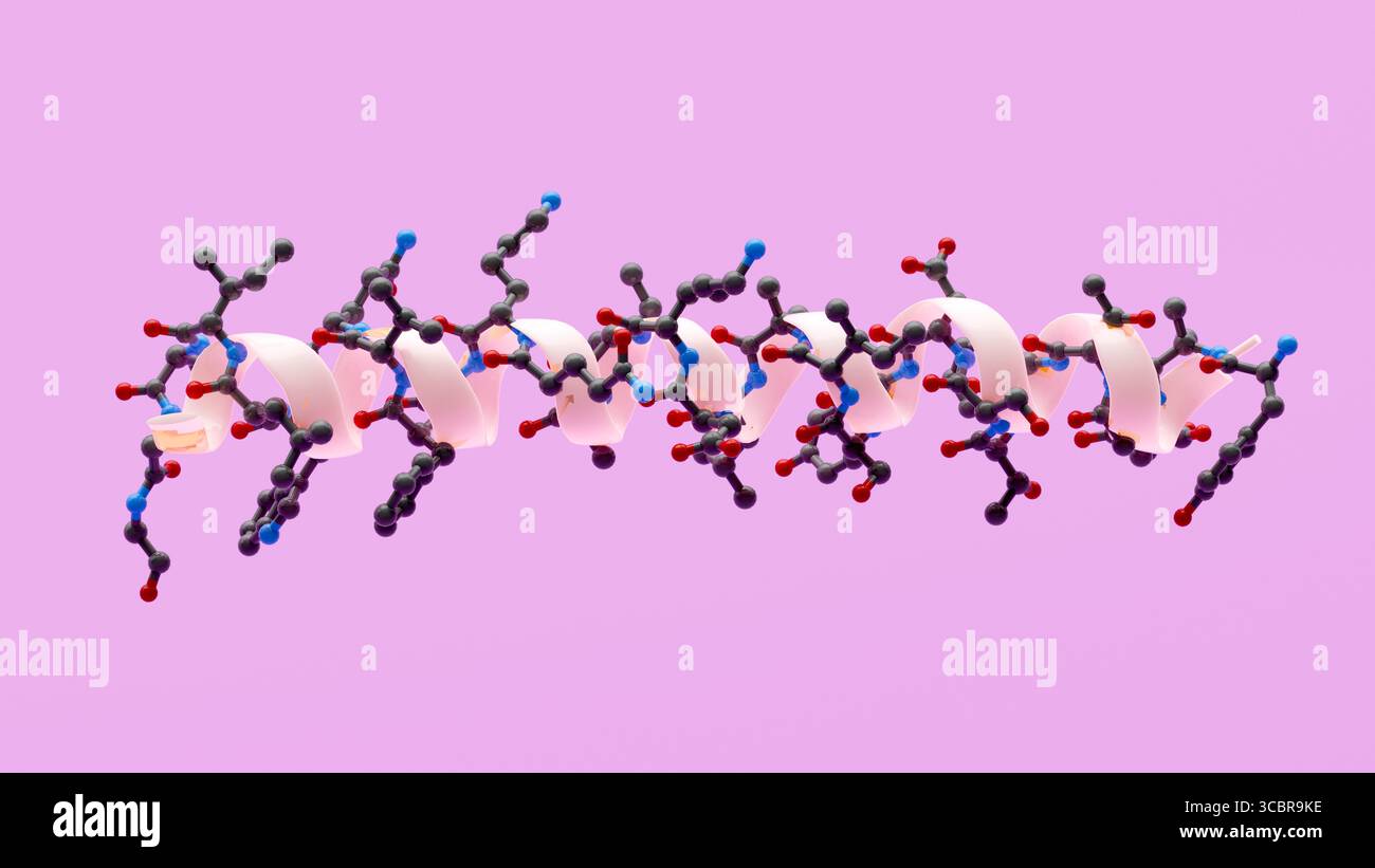 helix chemical supply tirzepatide Illustration showing the 3D structure of a tirzepatide molecule along with  an alpha helix to highlight this feature of its structure Stock Photo