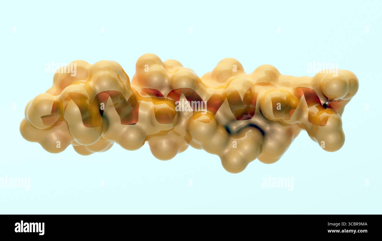 helix tirzepatide Illustration showing the 3D structure of a tirzepatide molecule along with  an alpha helix to highlight this feature of its structure Stock Photo