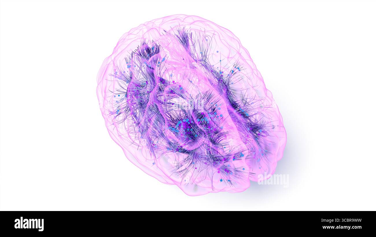 Conceptual illustration of connections within the brain. Based on advanced diffusion tensor imaging (DTI) techniques using real magnetic resonance imaging (MRI) data. Stock Photo