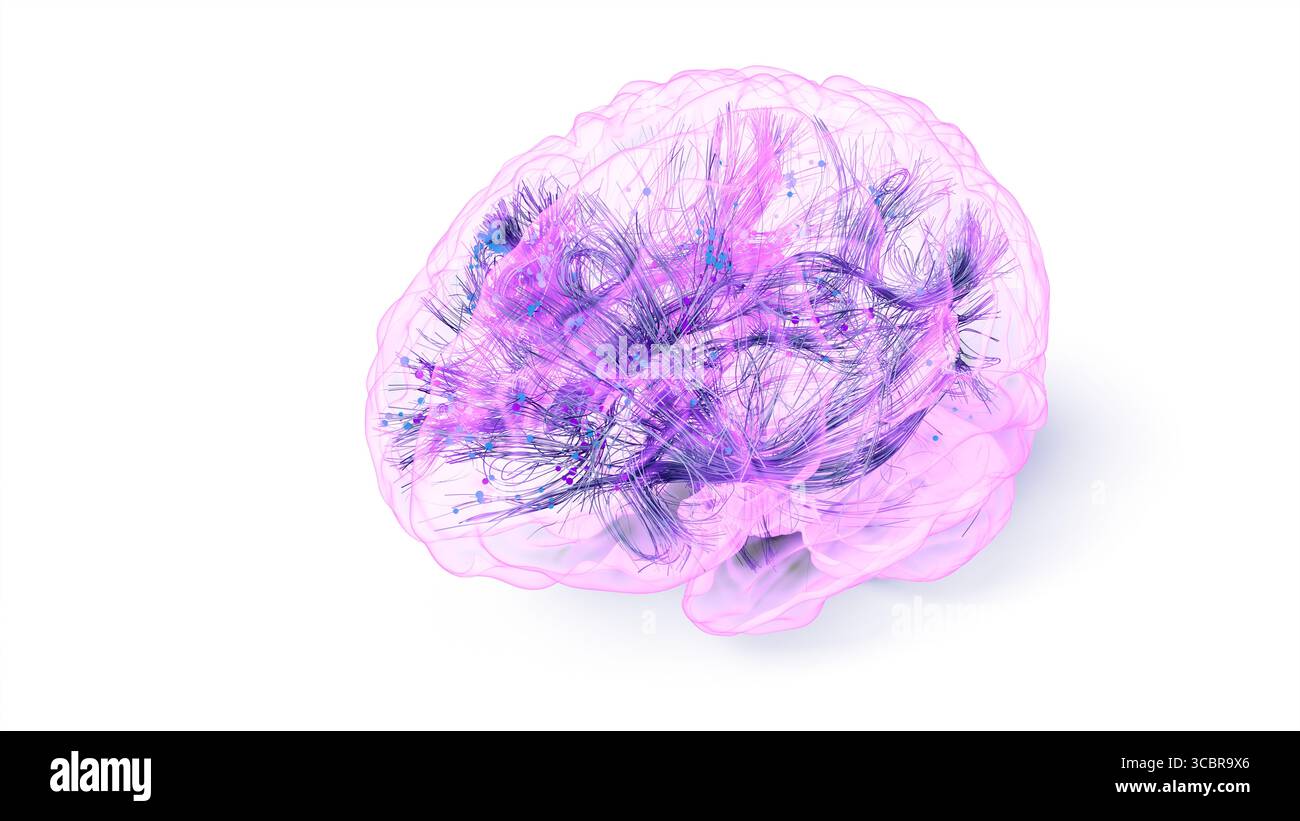 Conceptual illustration of connections within the brain. Based on ...