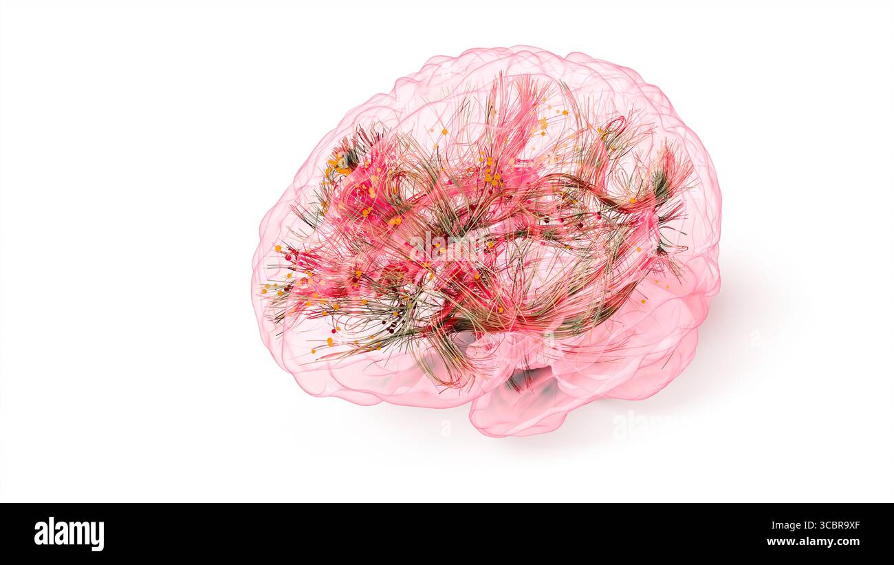Conceptual illustration of connections within the brain. Based on advanced diffusion tensor imaging (DTI) techniques using real magnetic resonance imaging (MRI) data. Stock Photo