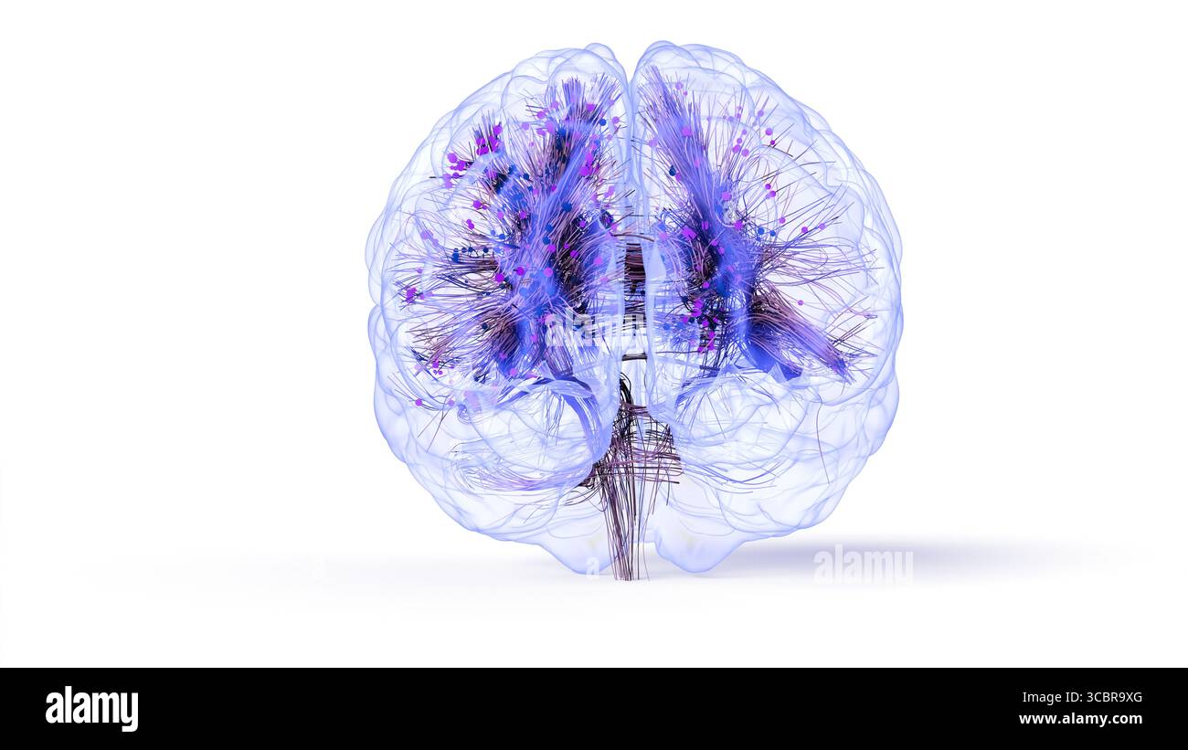 Conceptual illustration of connections within the brain. Based on advanced diffusion tensor imaging (DTI) techniques using real magnetic resonance imaging (MRI) data. Stock Photo