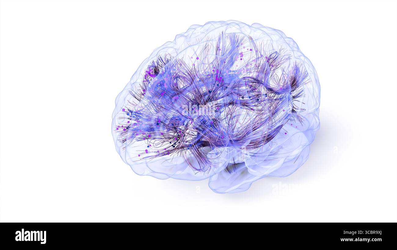 Conceptual illustration of connections within the brain. Based on advanced diffusion tensor imaging (DTI) techniques using real magnetic resonance imaging (MRI) data. Stock Photo