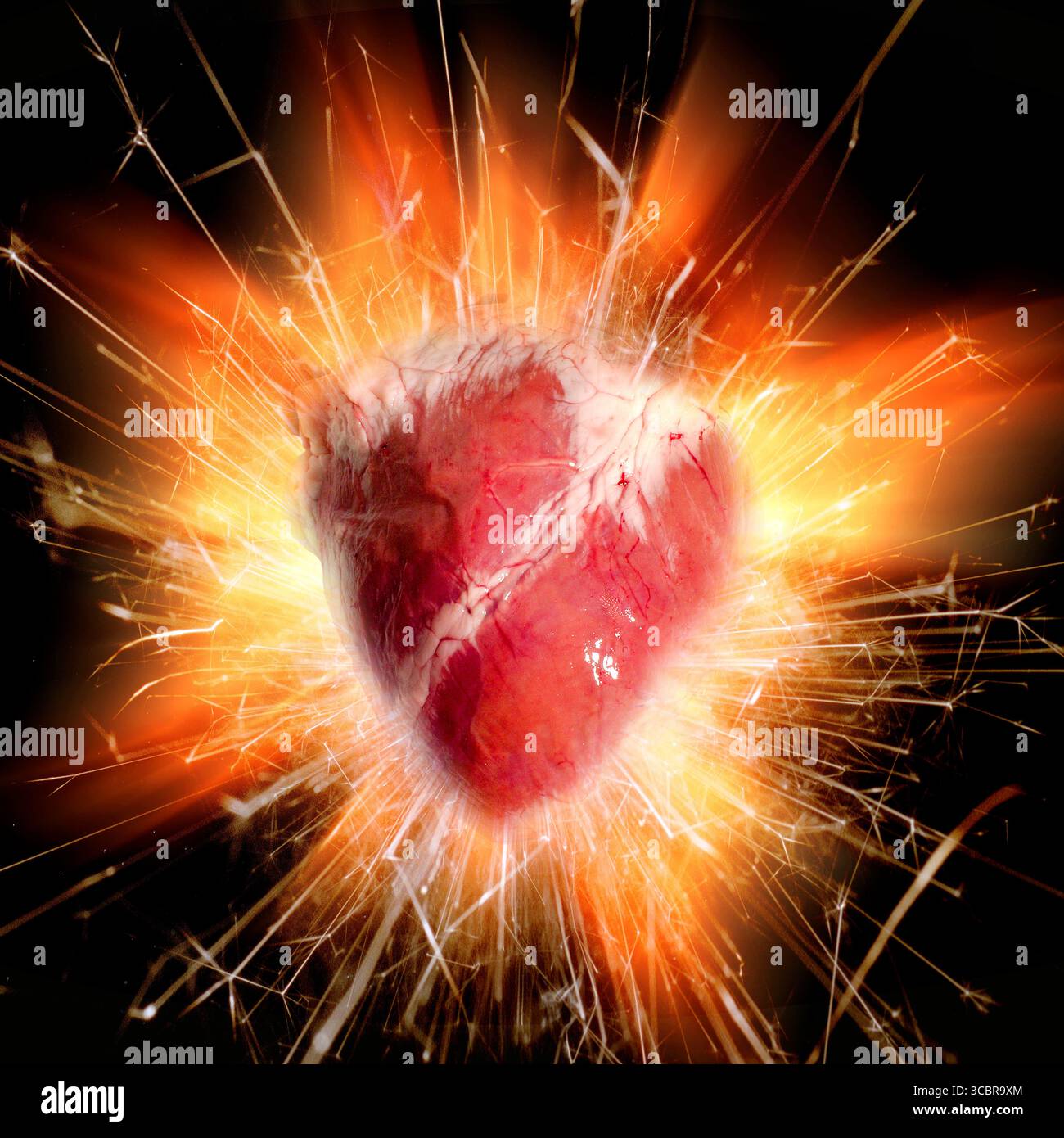 Human heart problems ache hi-res stock photography and images - Alamy