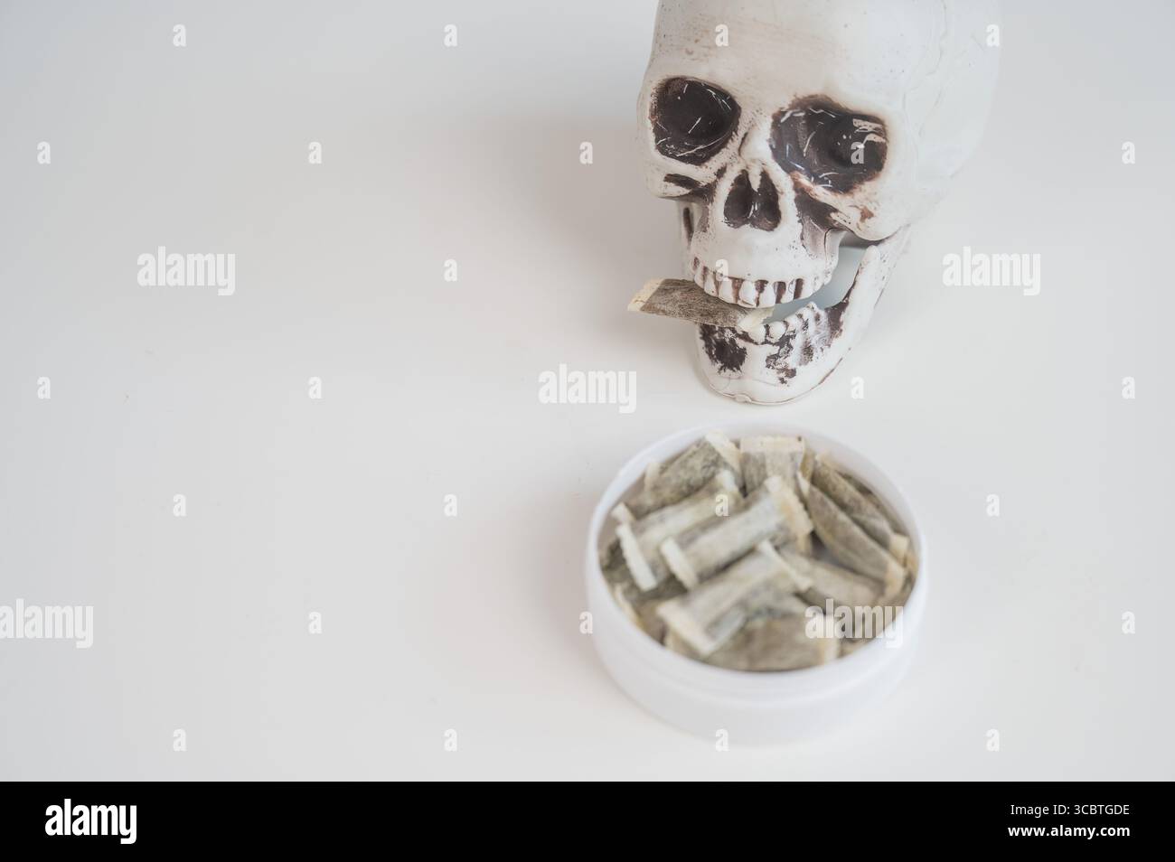 skull tobacco Skull Chewing Tobacco on a White Table Stock Photo