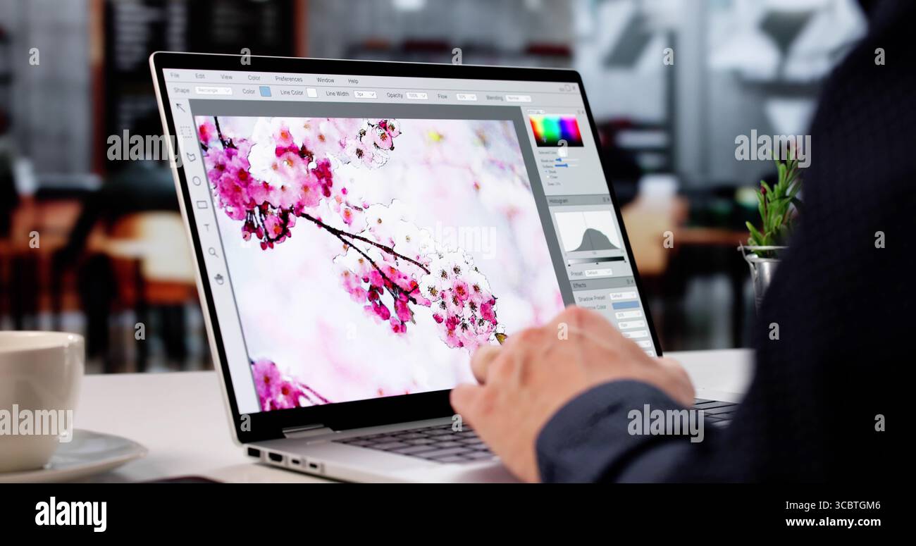 Young Male Designer Editing Photos On His Laptop Computer Stock Photo