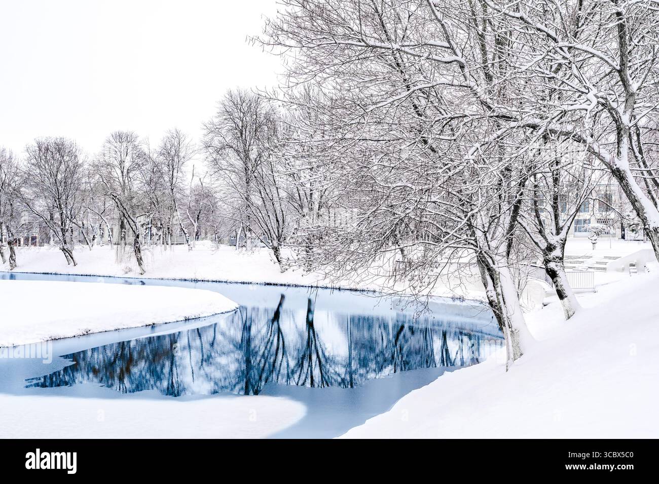 Winter landscape of a frozen lake with empty trees by the snow covered shore; cold winter day by the water in Fagaras, Brasov county, Transylvania, Ro Stock Photo