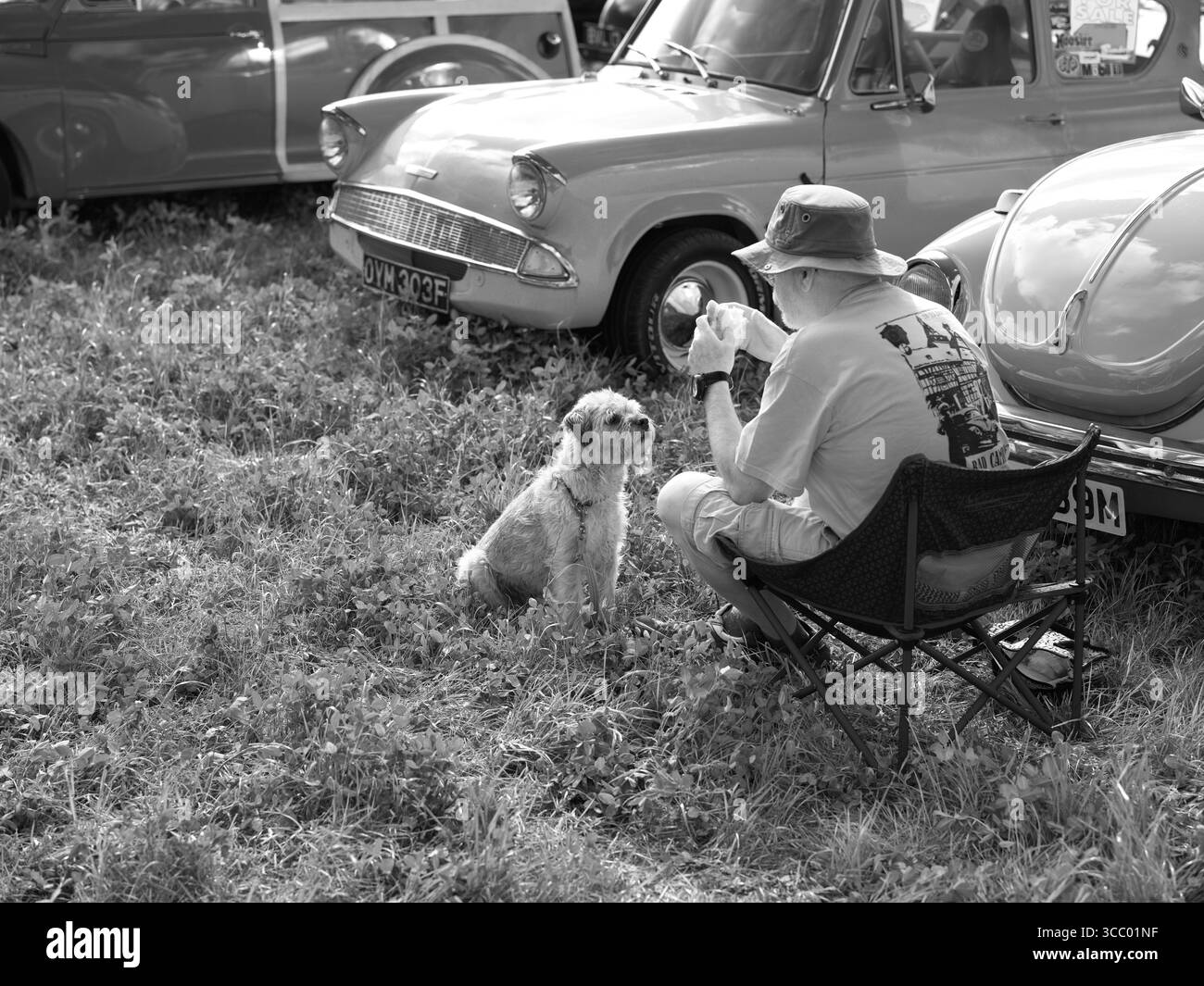 Carnhell Green Vintage Rally 9 August 2025 Stock Photo - Alamy