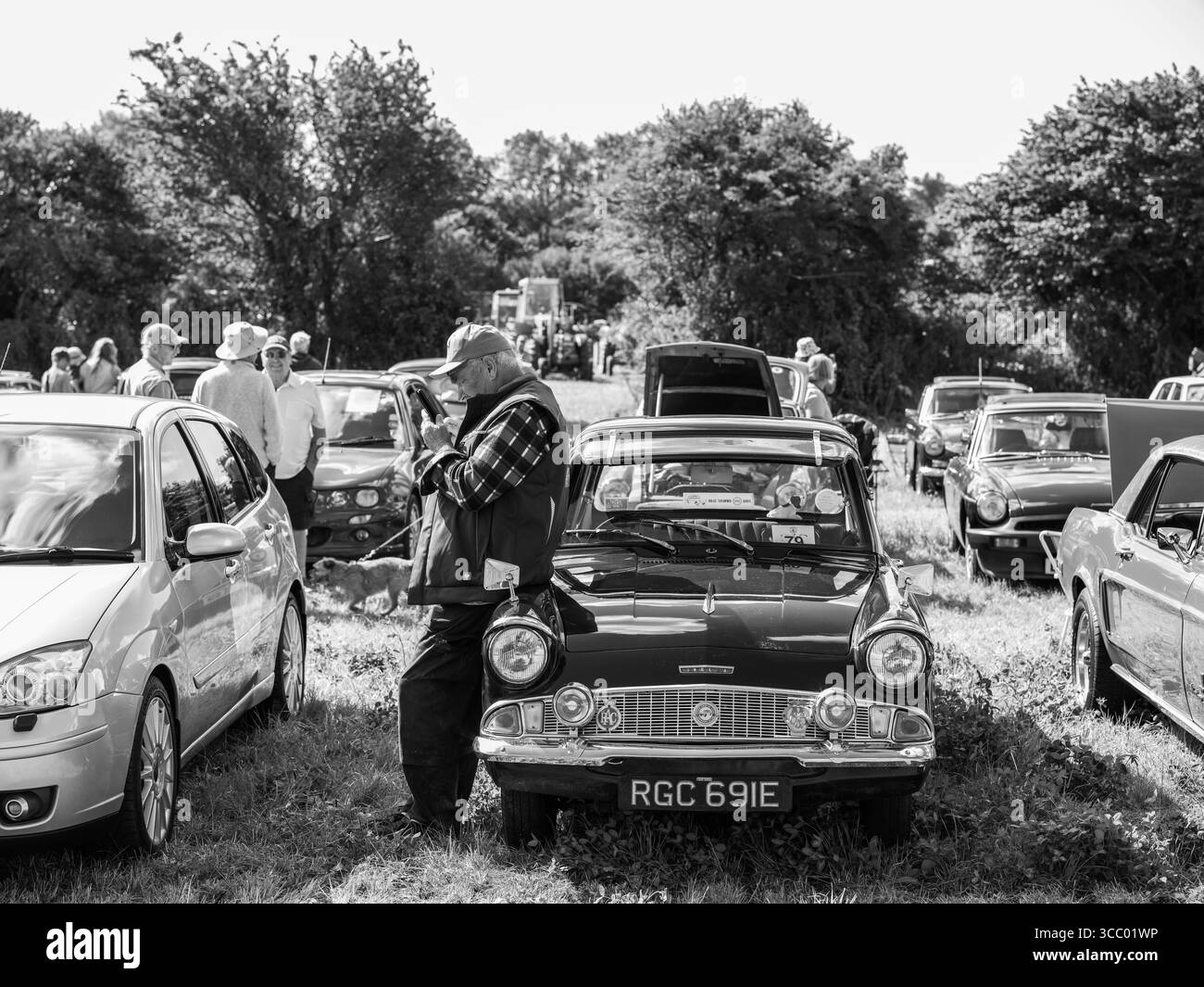 Carnhell Green Vintage Rally 9 August 2025 Stock Photo - Alamy