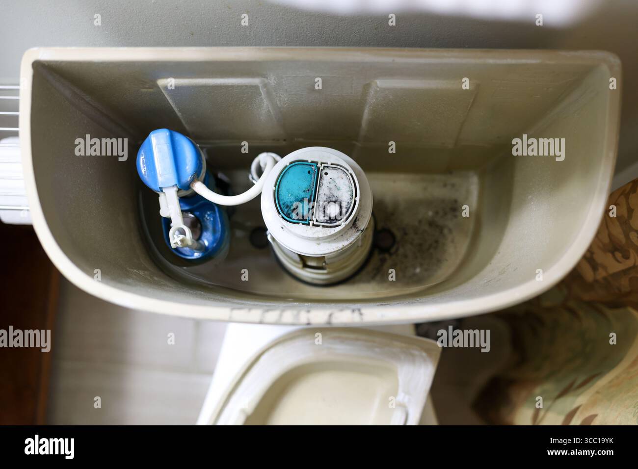 a broken toilet  with black mold in tank Stock Photo