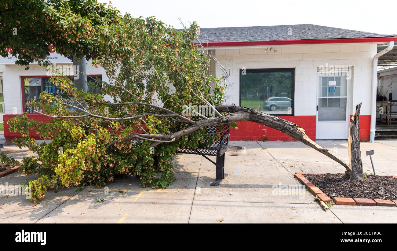 A tree is snapped and resting on a bench at 115 N 14th St, in Fort ...
