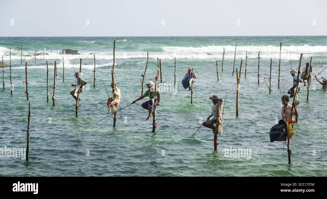 Traditional stilt fishing in Weligama Bay area, Sri Lanka Stock Photo ...