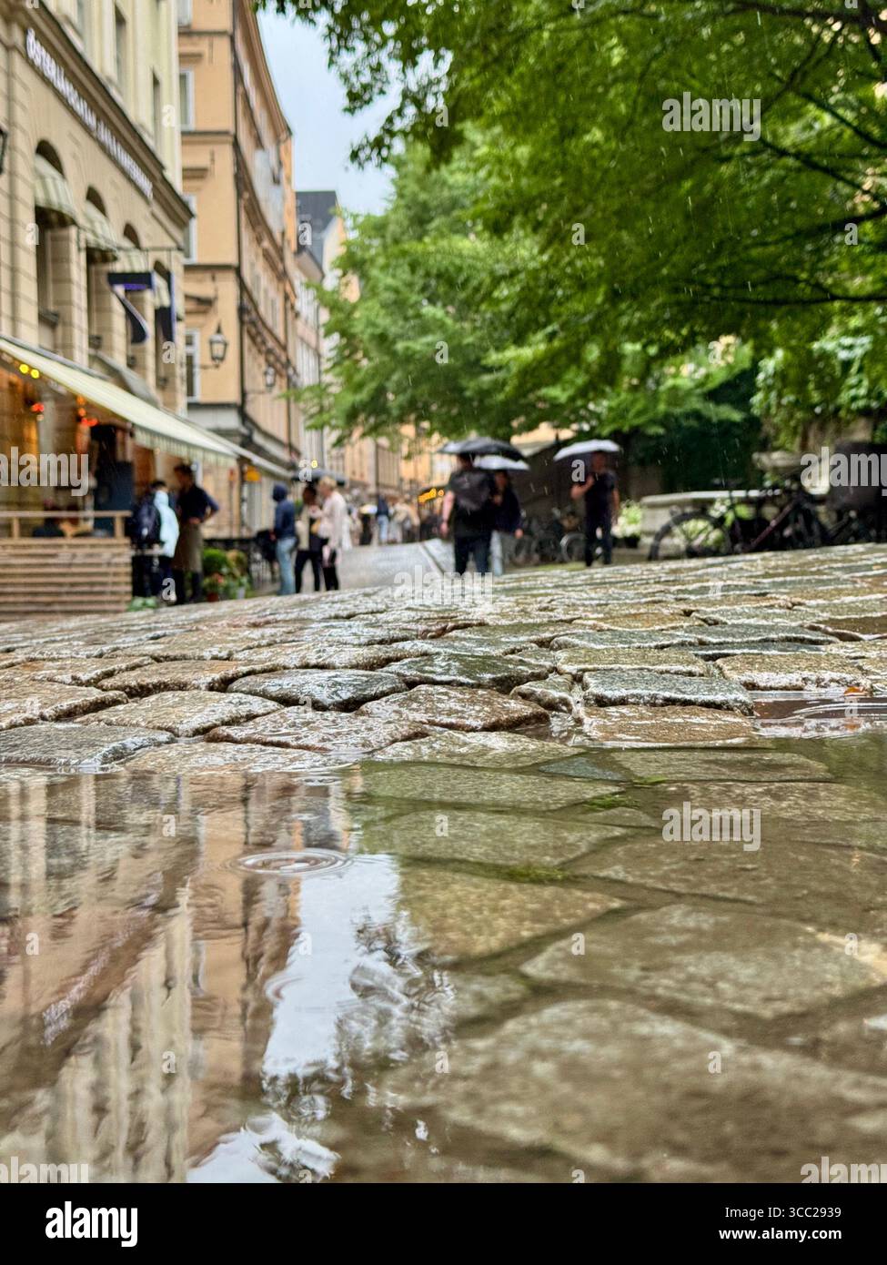 Rainy day in Gamla Stan, Stockholm, Sweden, with cobblestone street, puddles reflecting buildings, and people walking with umbrellas. - Smartphone Captured Stock Image