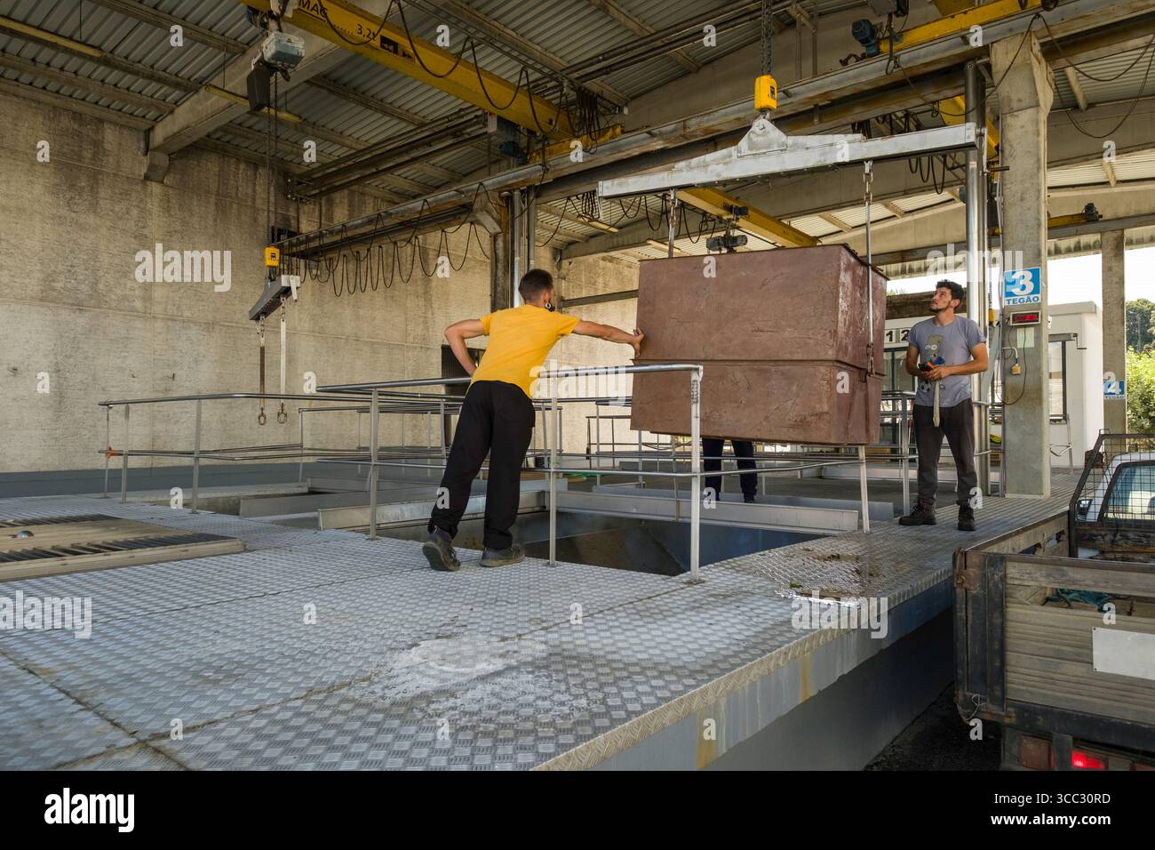 Male employees using crane to lift metal bin filled with Moscatel Galego Branco grapes being delivered to the Adega Cooperativa de Favaios Winery, Fav Stock Photo