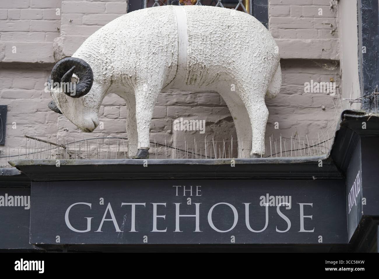 Outdoor Decorative Storefront with White Ram Statue Overlooking ...