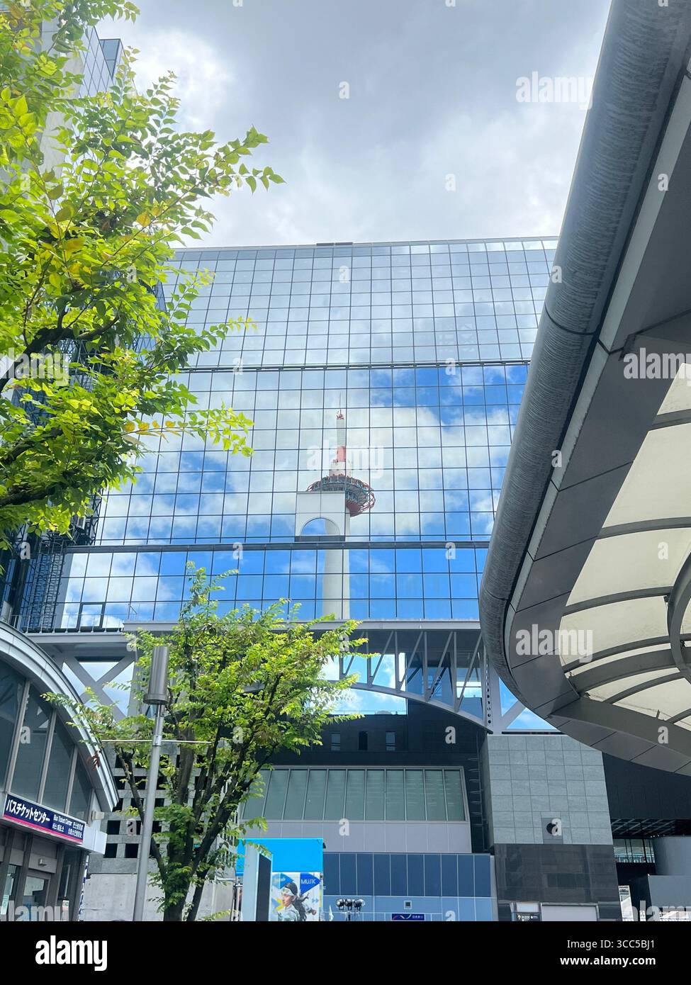 JYOJI SHMAMOTO 写真パネル(サイン入り) JYOJI SHMAMOTO 写真パネル(サイン入り) JYOJI SHMAMOTO 写真