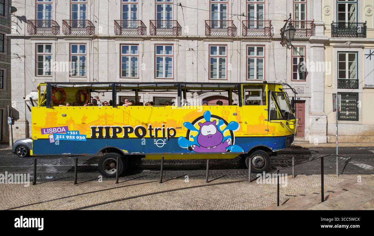 Hippo Goes Overseas ヒッポ外国へ Hippo Goes Overseas ヒッポ外国へ46枚 Hippo Goes Overseas