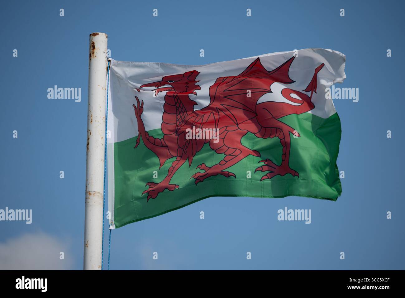 Welsh flag. Stock Photo